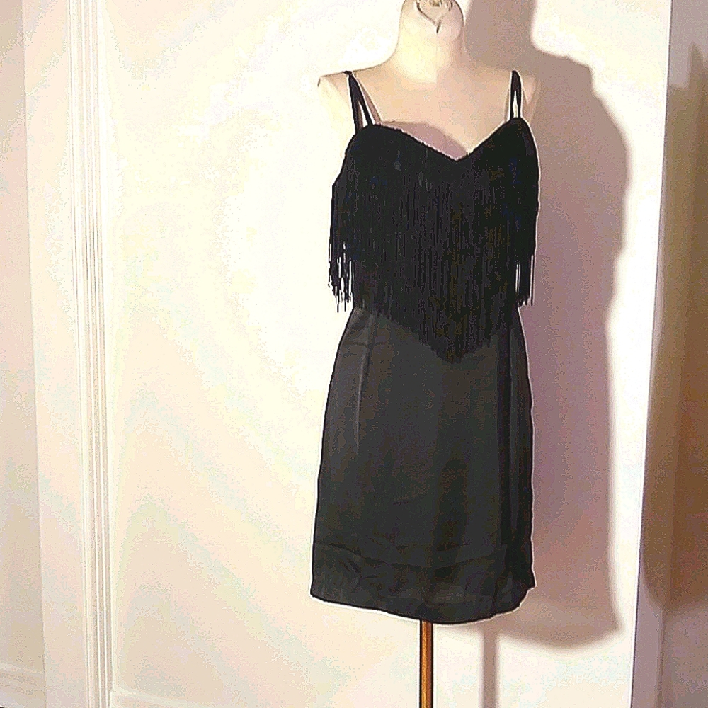 Verty Dress NWOT
